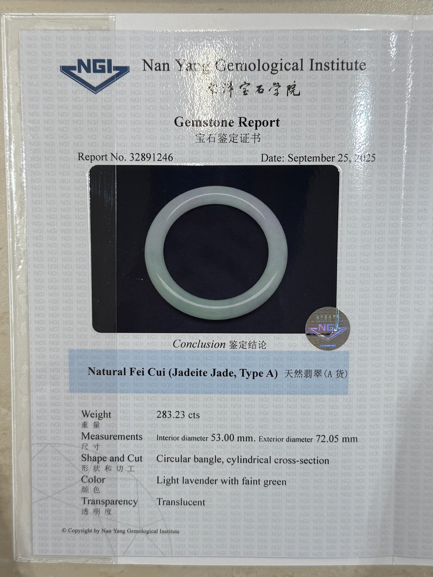 53mm Pastel Paddlepop (Rare!)