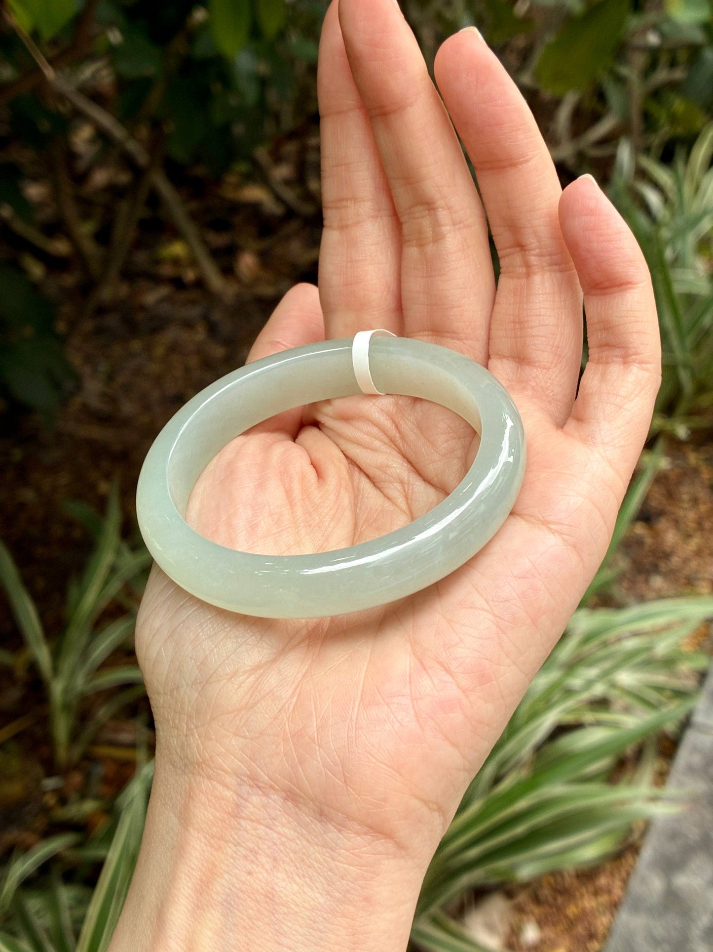 54.0mm Icy Jelly Faint Green Oval (Premium)