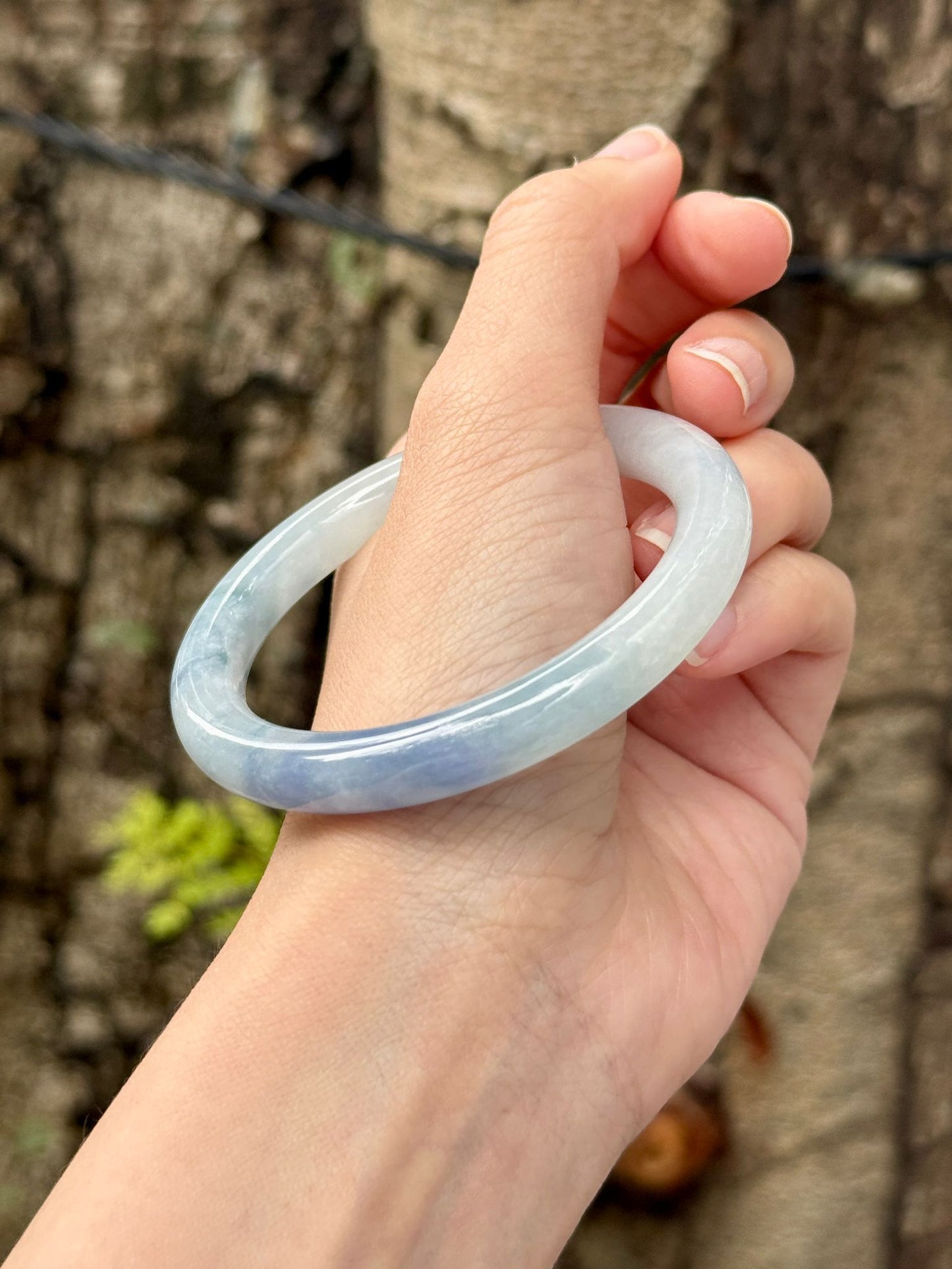 53.2mm Tricolor Lilac Lavender (Rare!)