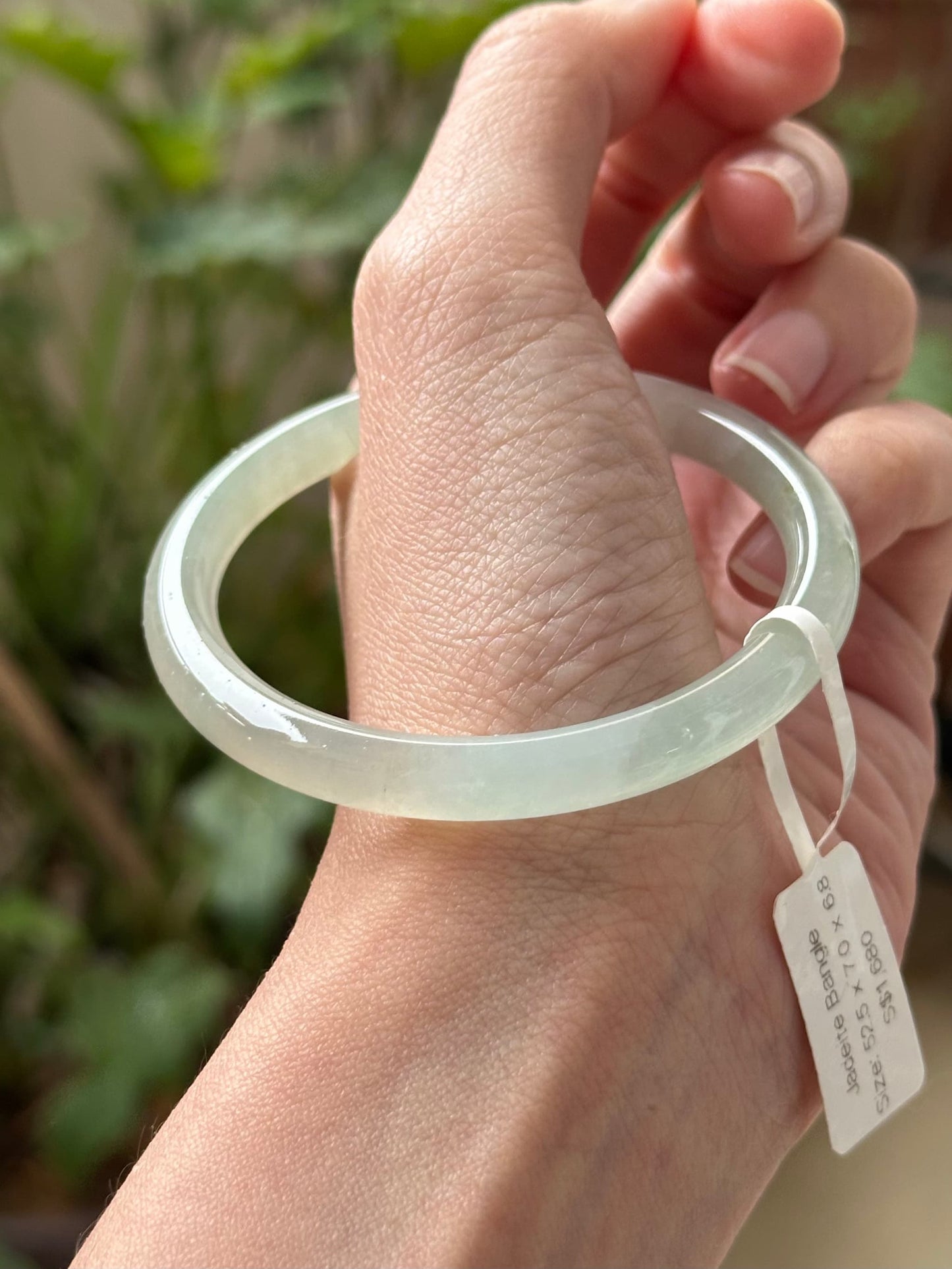 52.4mm Glowy Light Olive (Highly Translucent!)