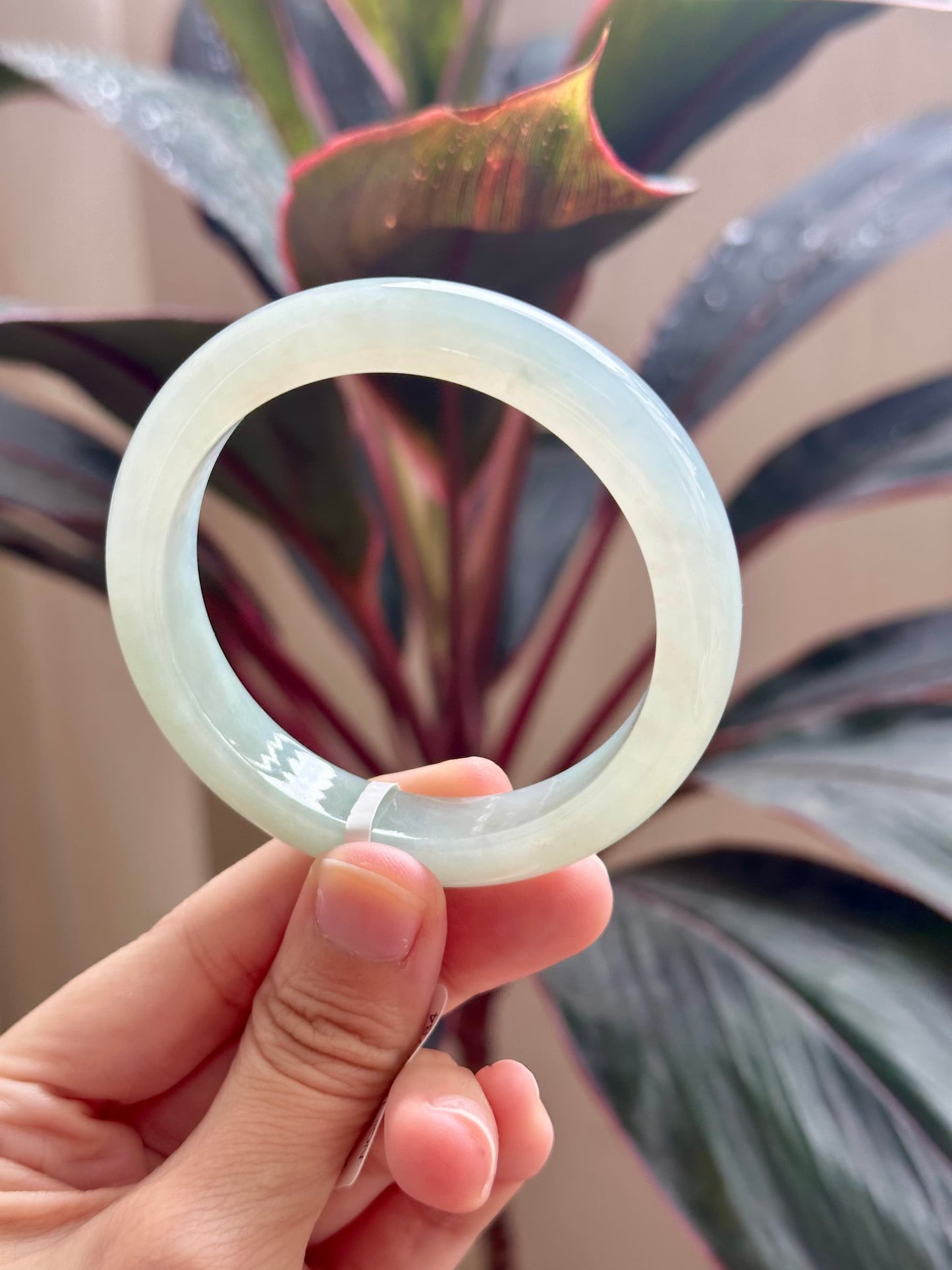 54.6mm Light Bluish Green (Highly Translucent!)