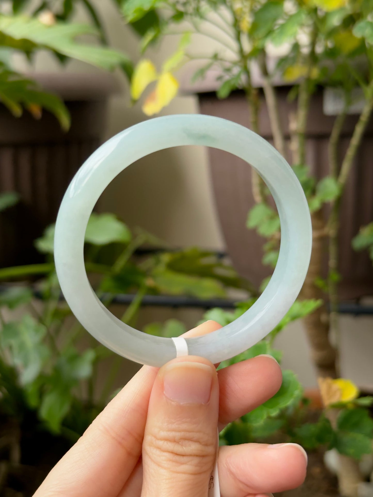 53.0mm Light Bluish Green