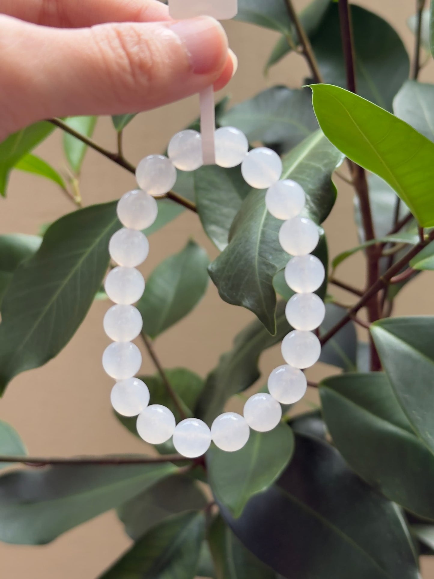 8.8mm Highly Translucent Colorless Bracelet (Collector's Grade)