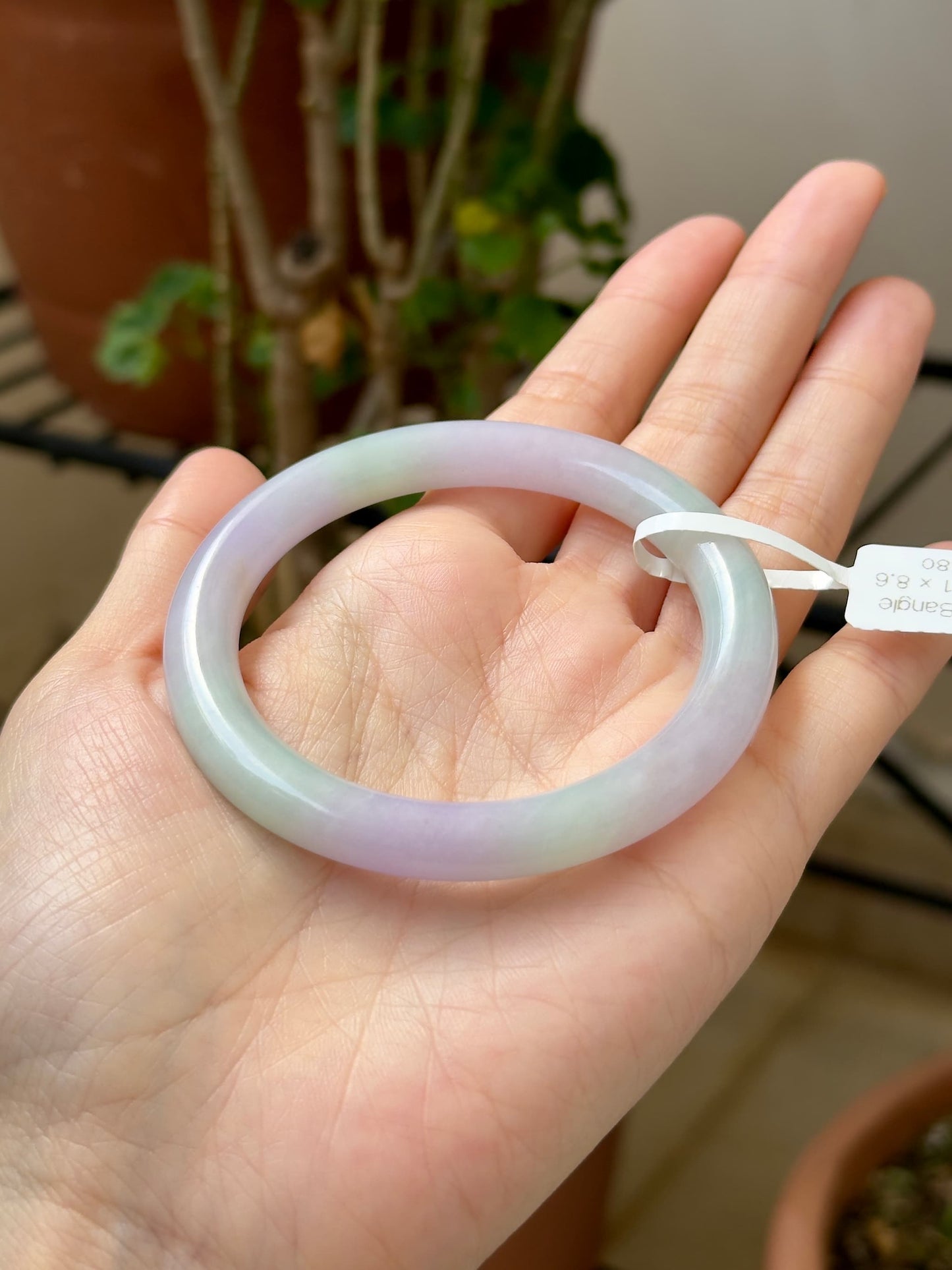 53.7mm Paddlepop with Sajin (Rare!)