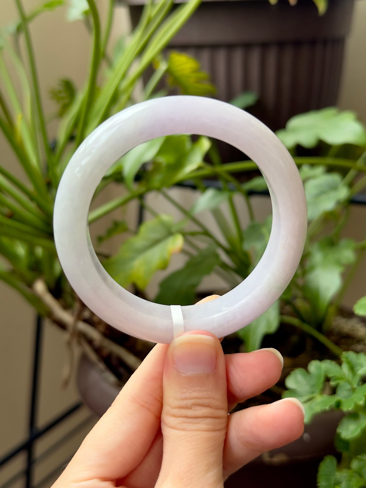 54.7mm Faint Lavender Mint
