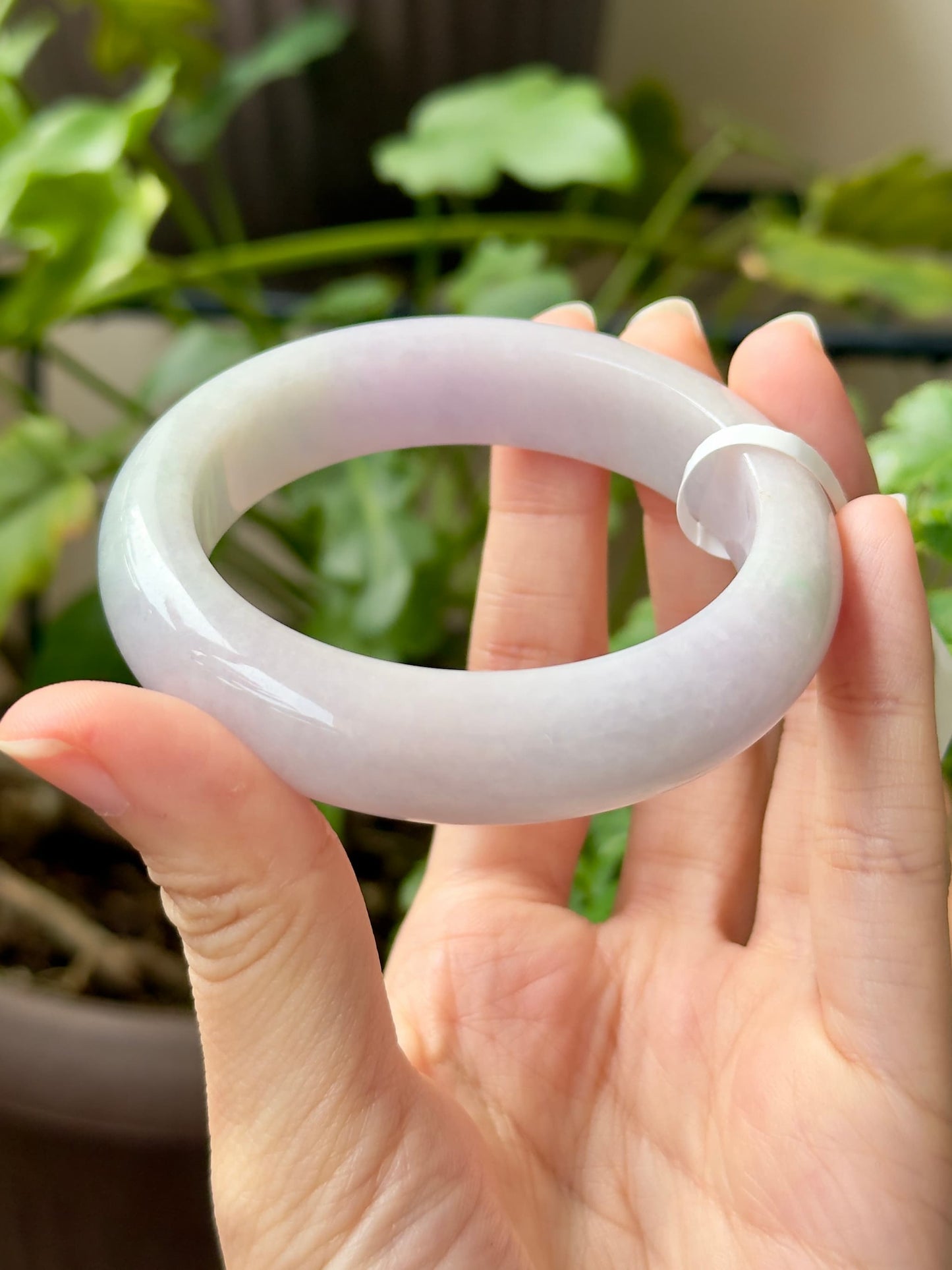 54.7mm Faint Lavender Mint