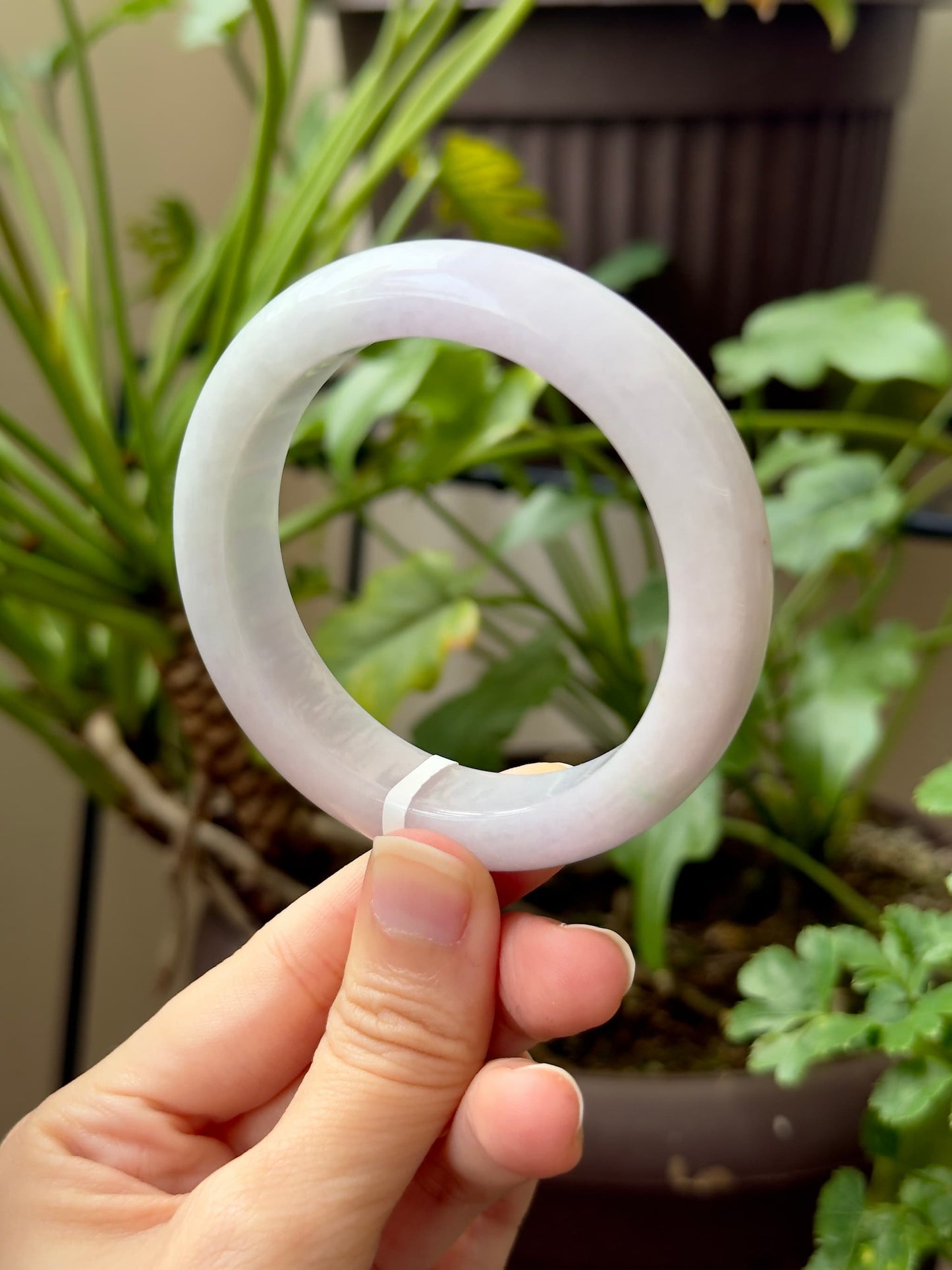 54.7mm Faint Lavender Mint