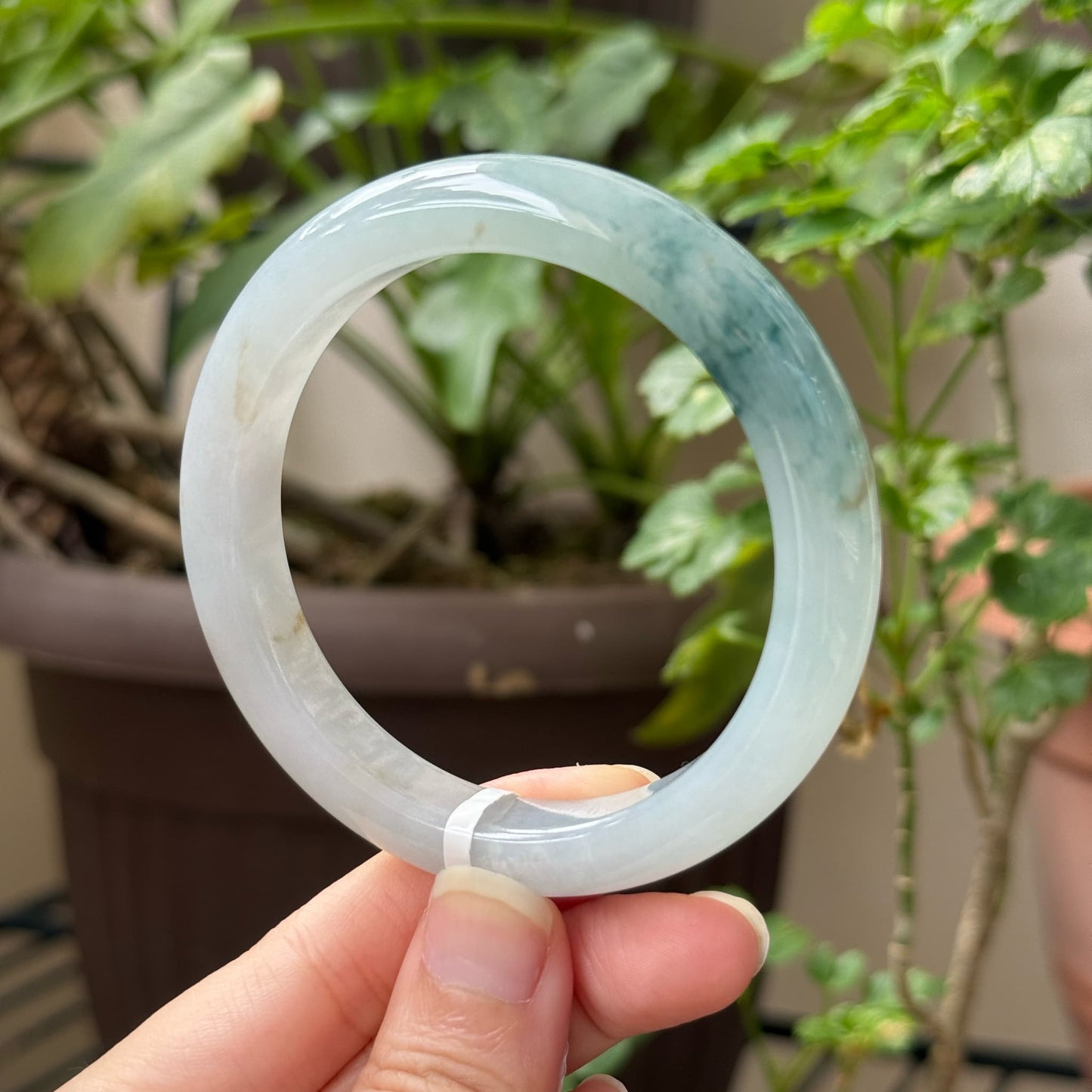 56.0mm Blue Based Piaohua