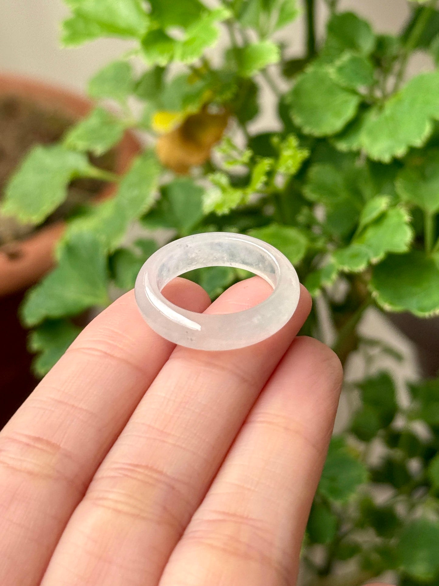 Icy White Jadeite Abacus Rings