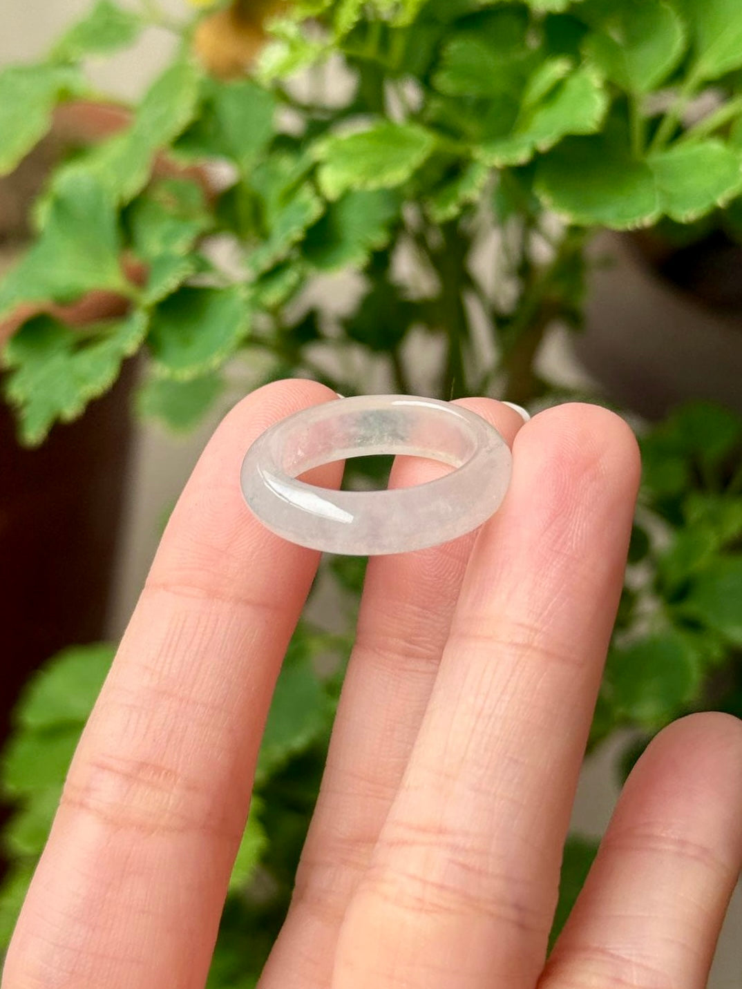 Icy White Jadeite Abacus Rings
