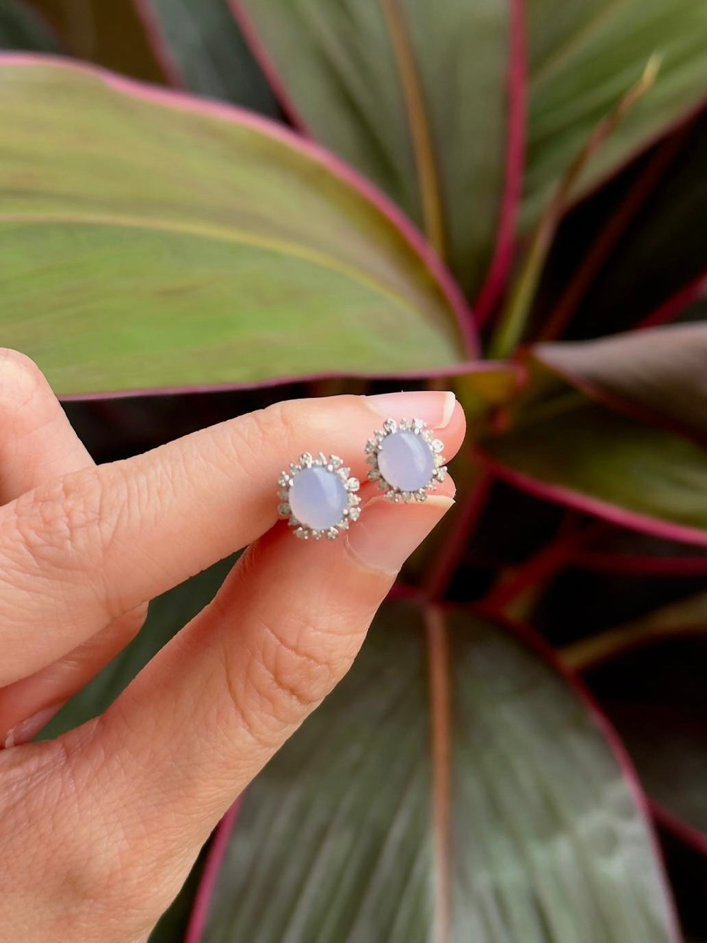 18K Glowy Oval Halo Lavender Earrings