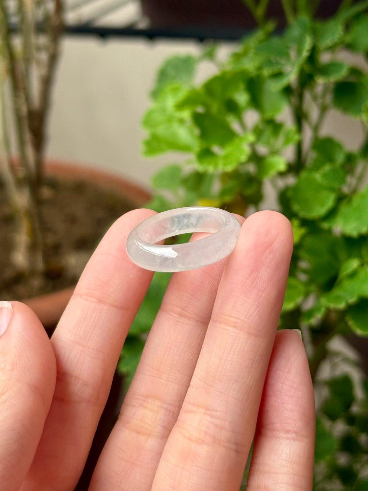 Icy White Jadeite Abacus Rings