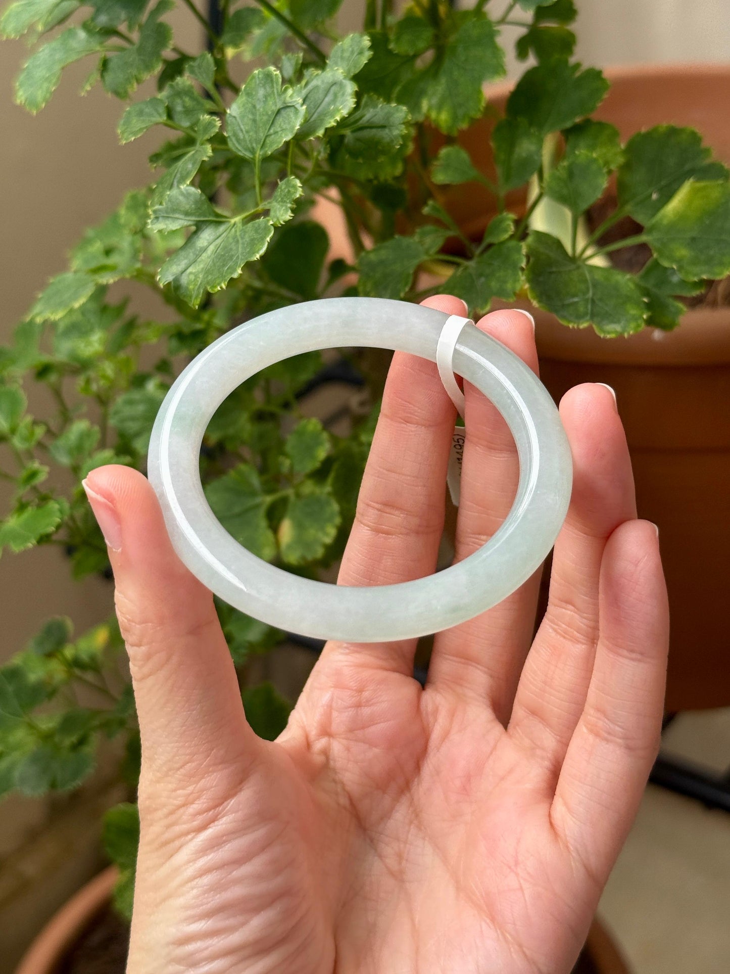 51.9mm Icy Faint Mint (Premium!)