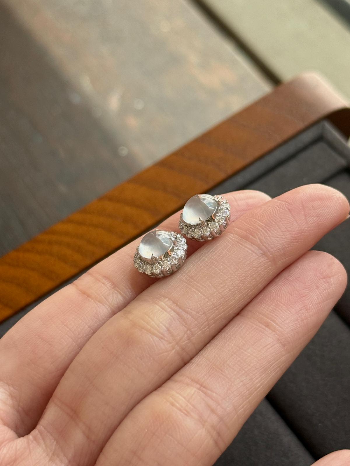 18K Modern Classic Earrings (Icy Variety!)