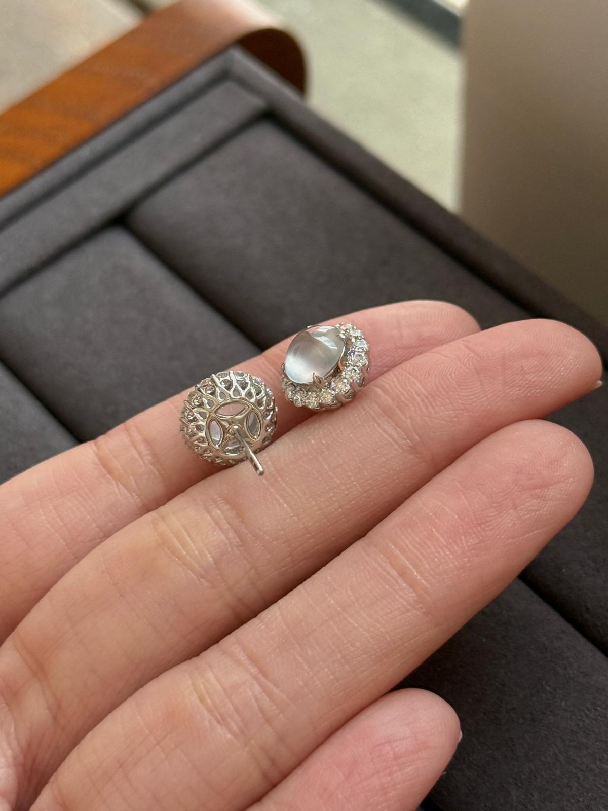 18K Modern Classic Earrings (Icy Variety!)