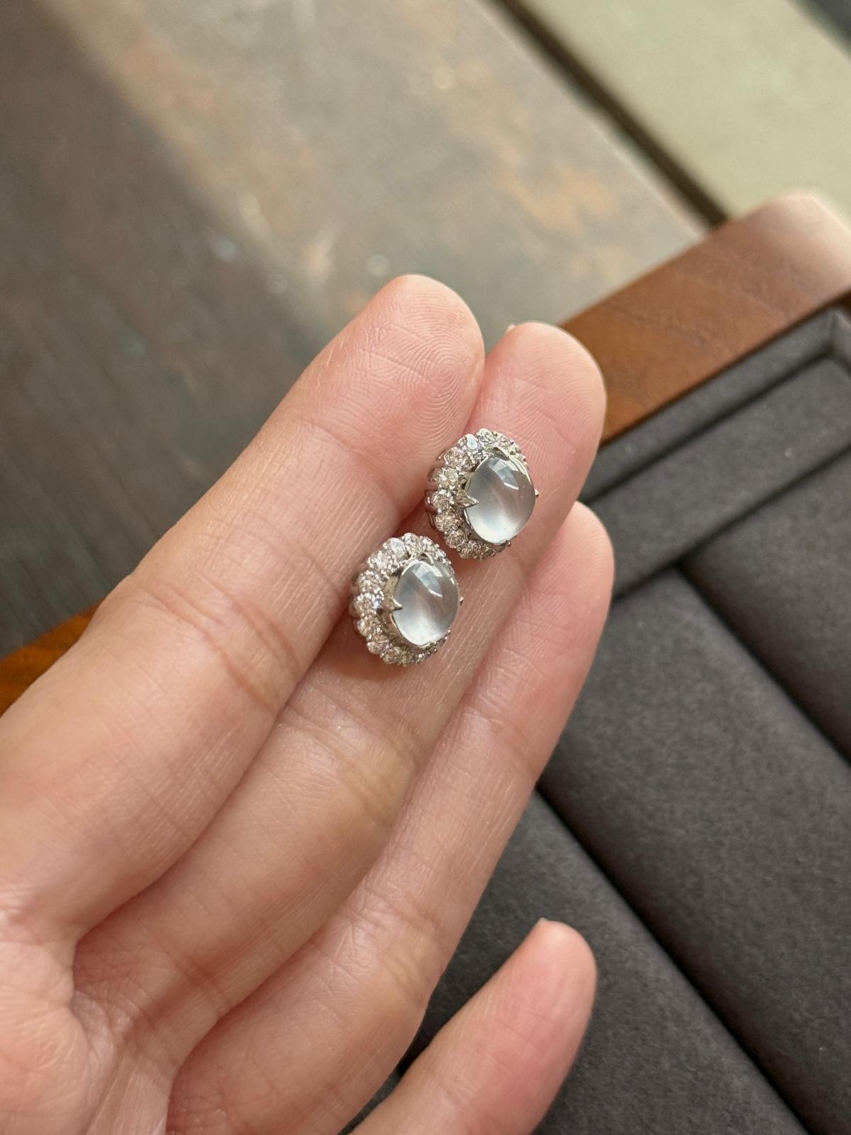 18K Modern Classic Earrings (Icy Variety!)
