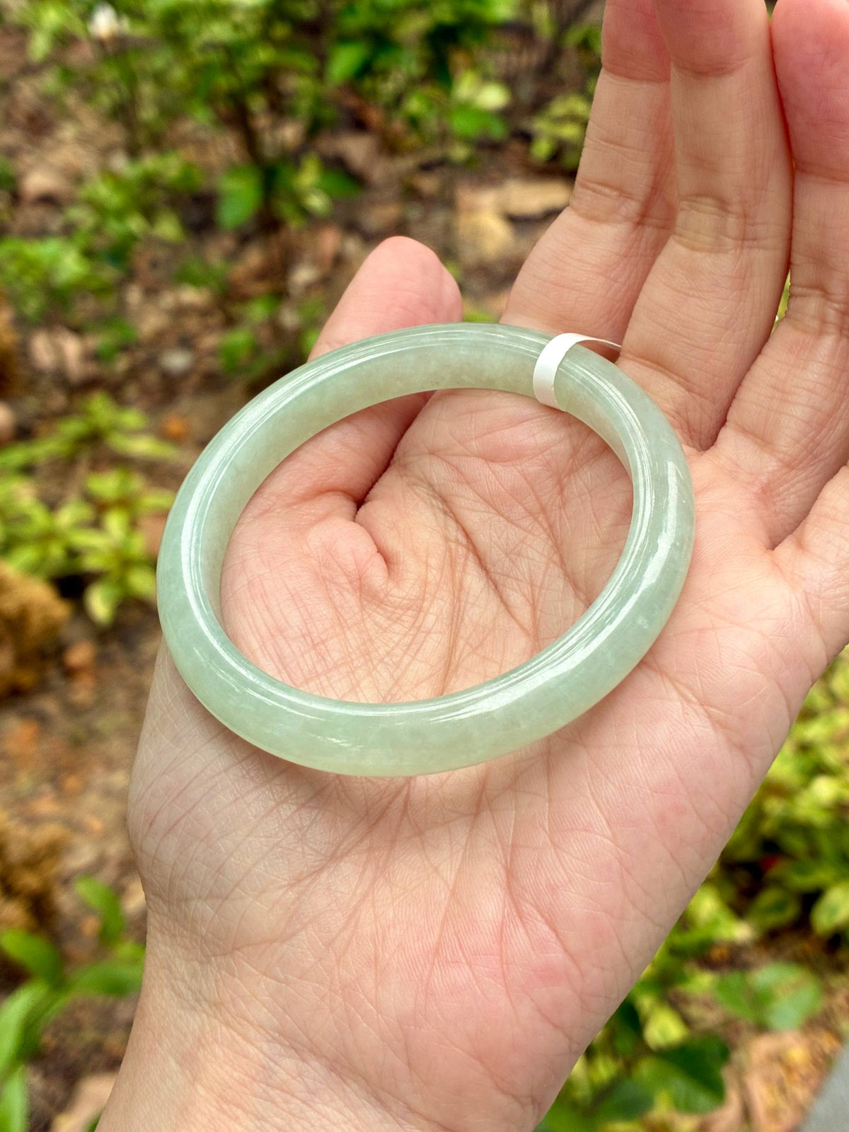 53.8mm Icy Light Warm Green (Slim)