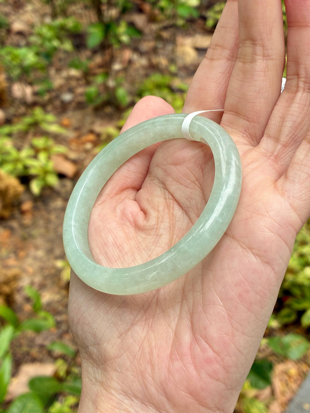 53.8mm Icy Light Warm Green (Slim)