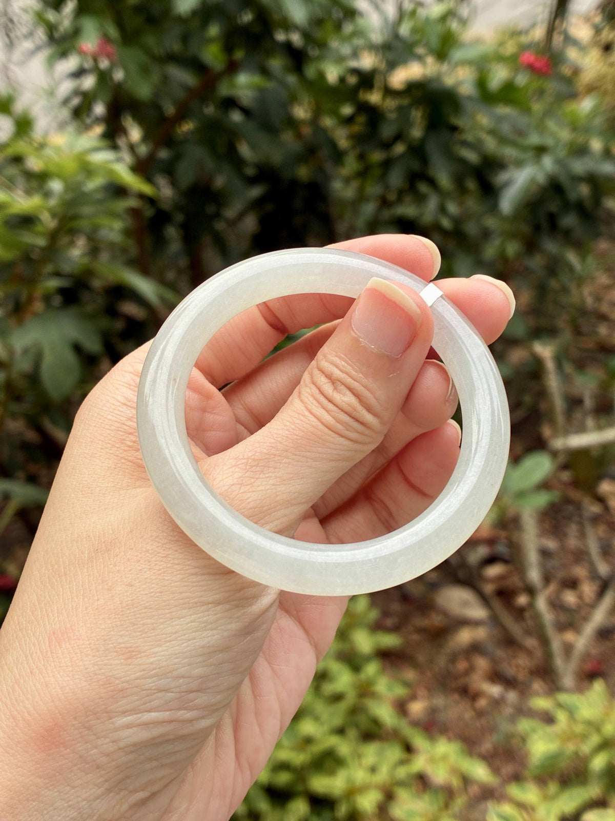50.0mm Icy White (Premium!)