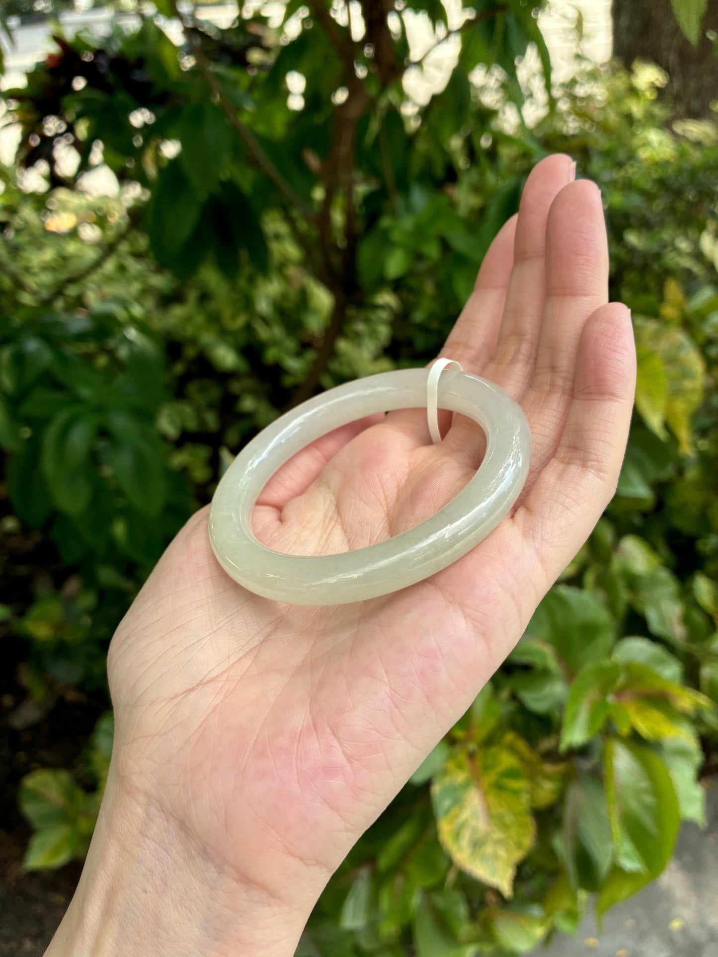53.2mm Icy Dew-Kissed Willow