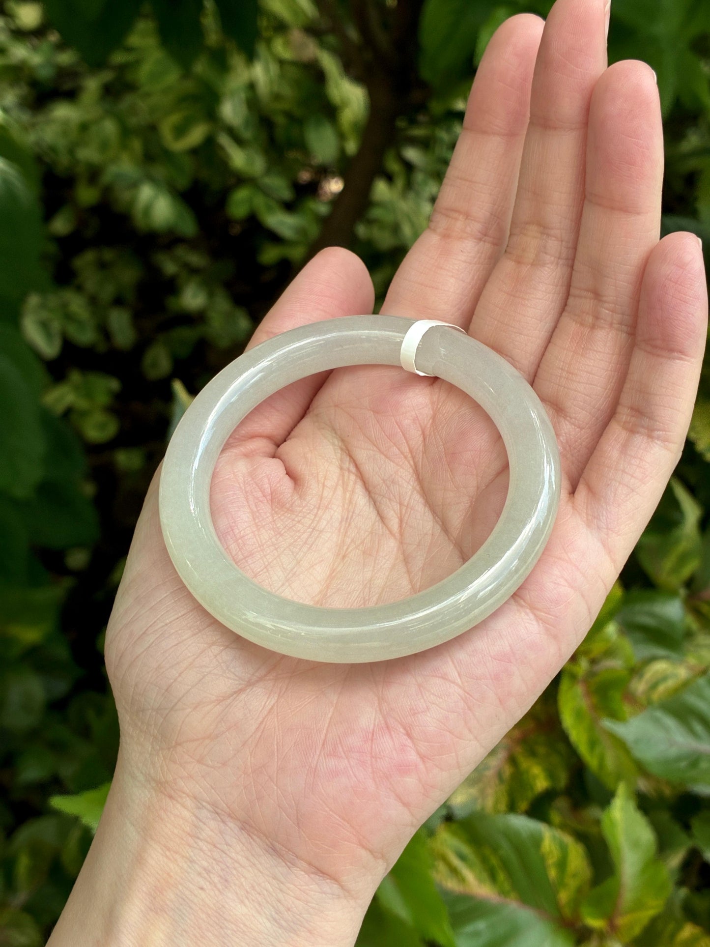53.2mm Icy Dew-Kissed Willow