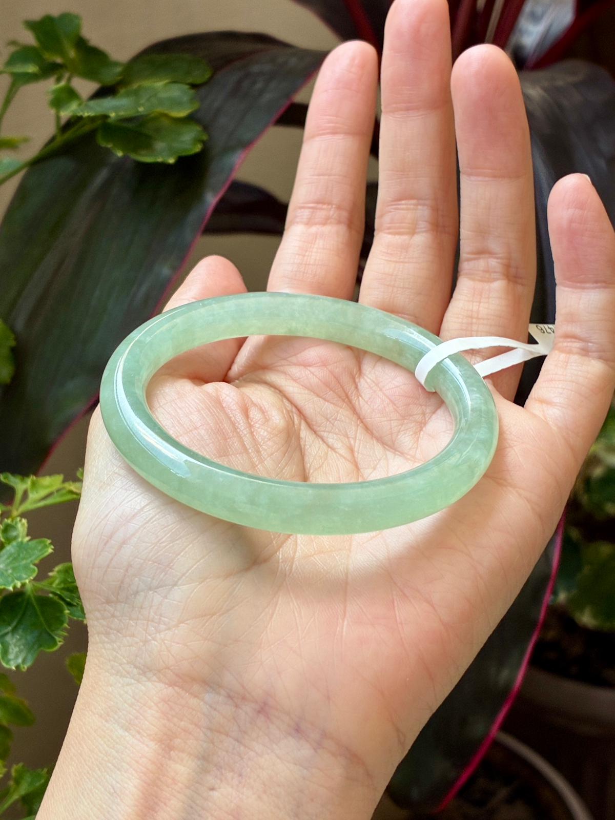 54.0mm Icy Vivid Apple Green