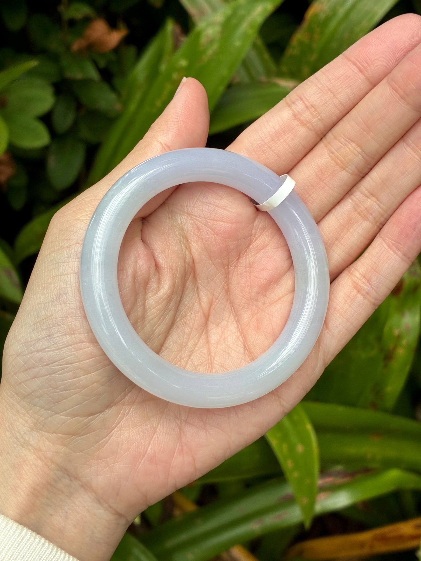51.8mm Jelly Faint Lilac Lavender (Premium!)