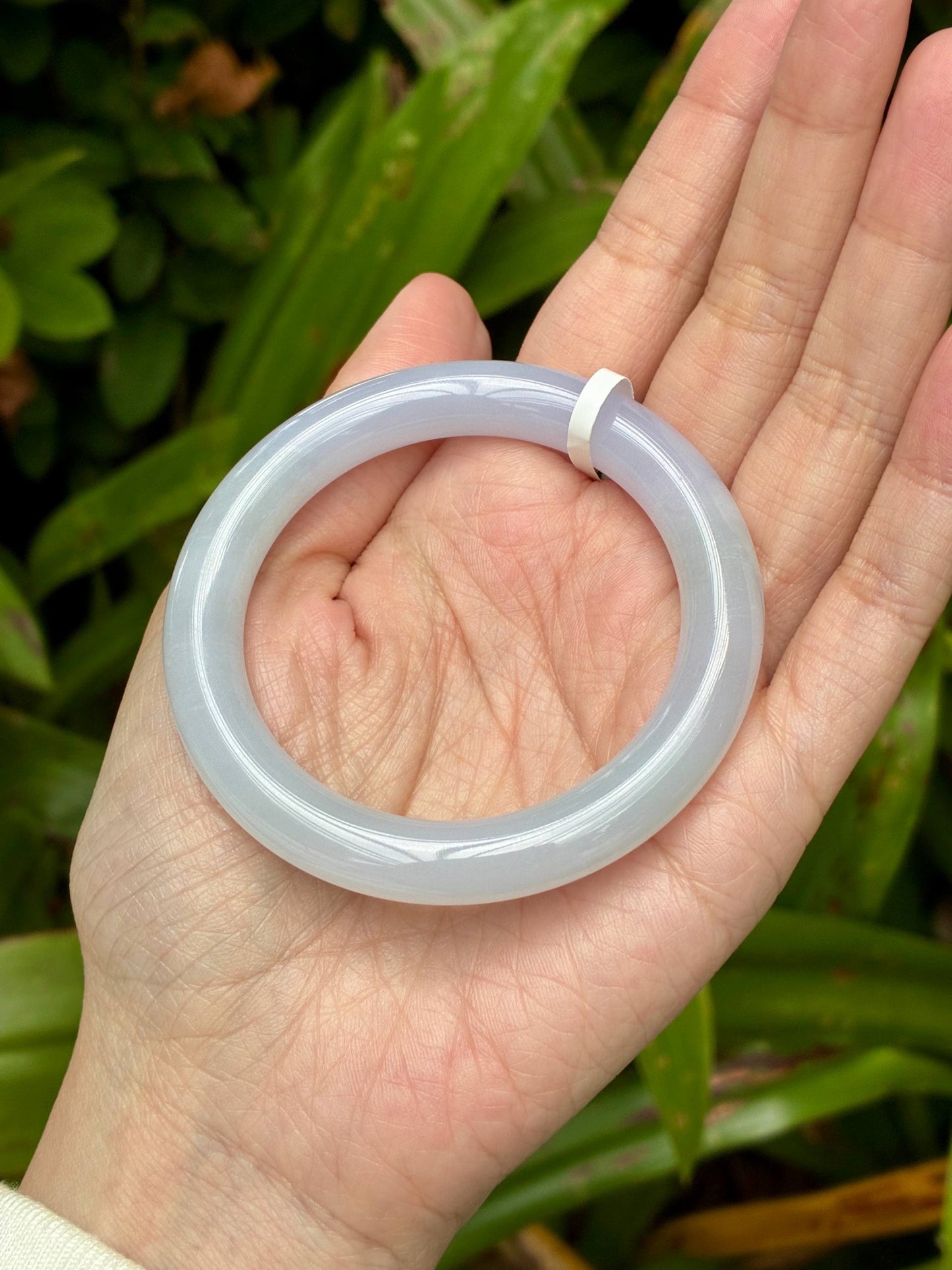 51.8mm Jelly Faint Lilac Lavender (Premium!)