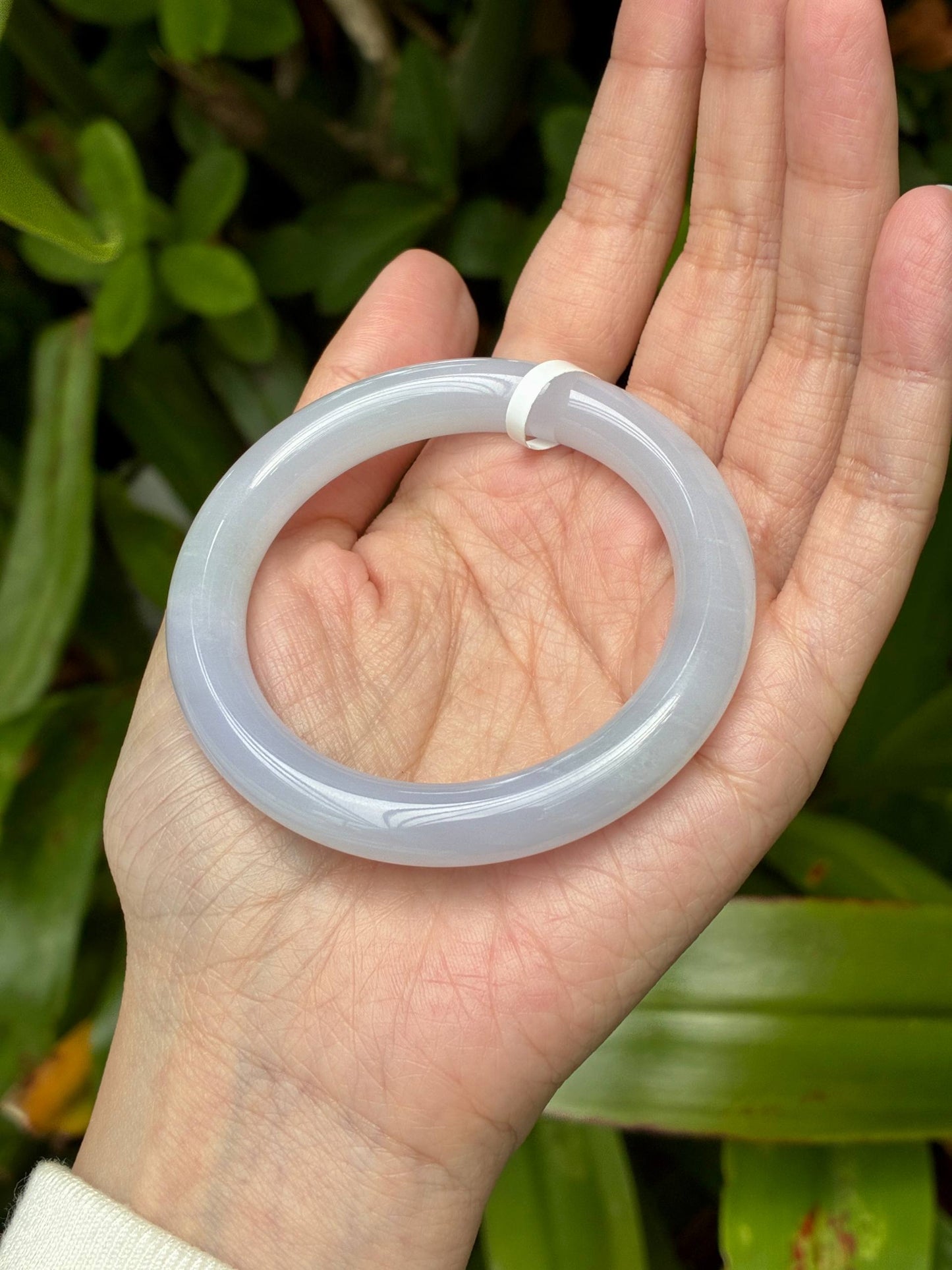 51.8mm Jelly Faint Lilac Lavender (Premium!)
