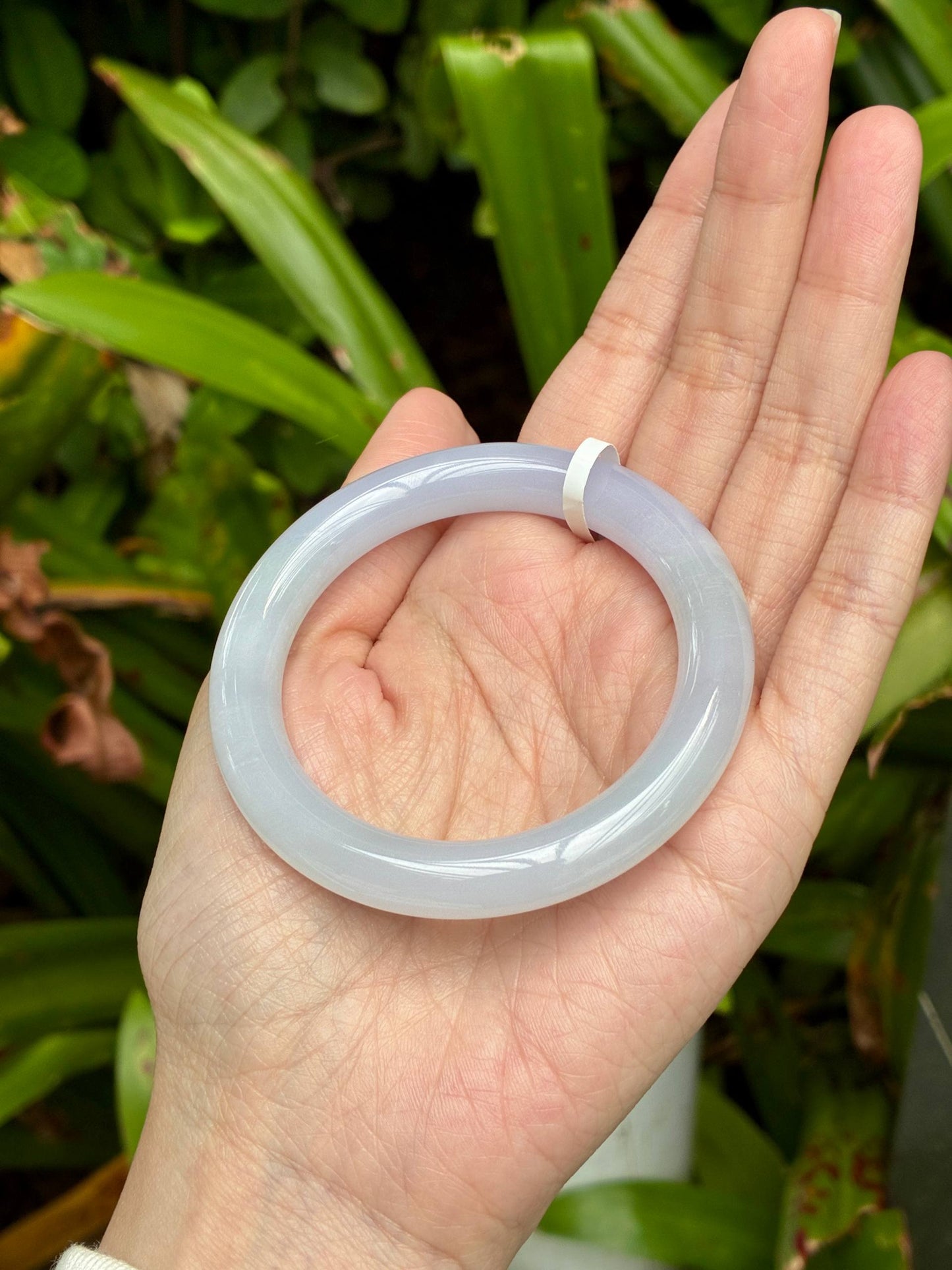 51.8mm Jelly Faint Lilac Lavender (Premium!)