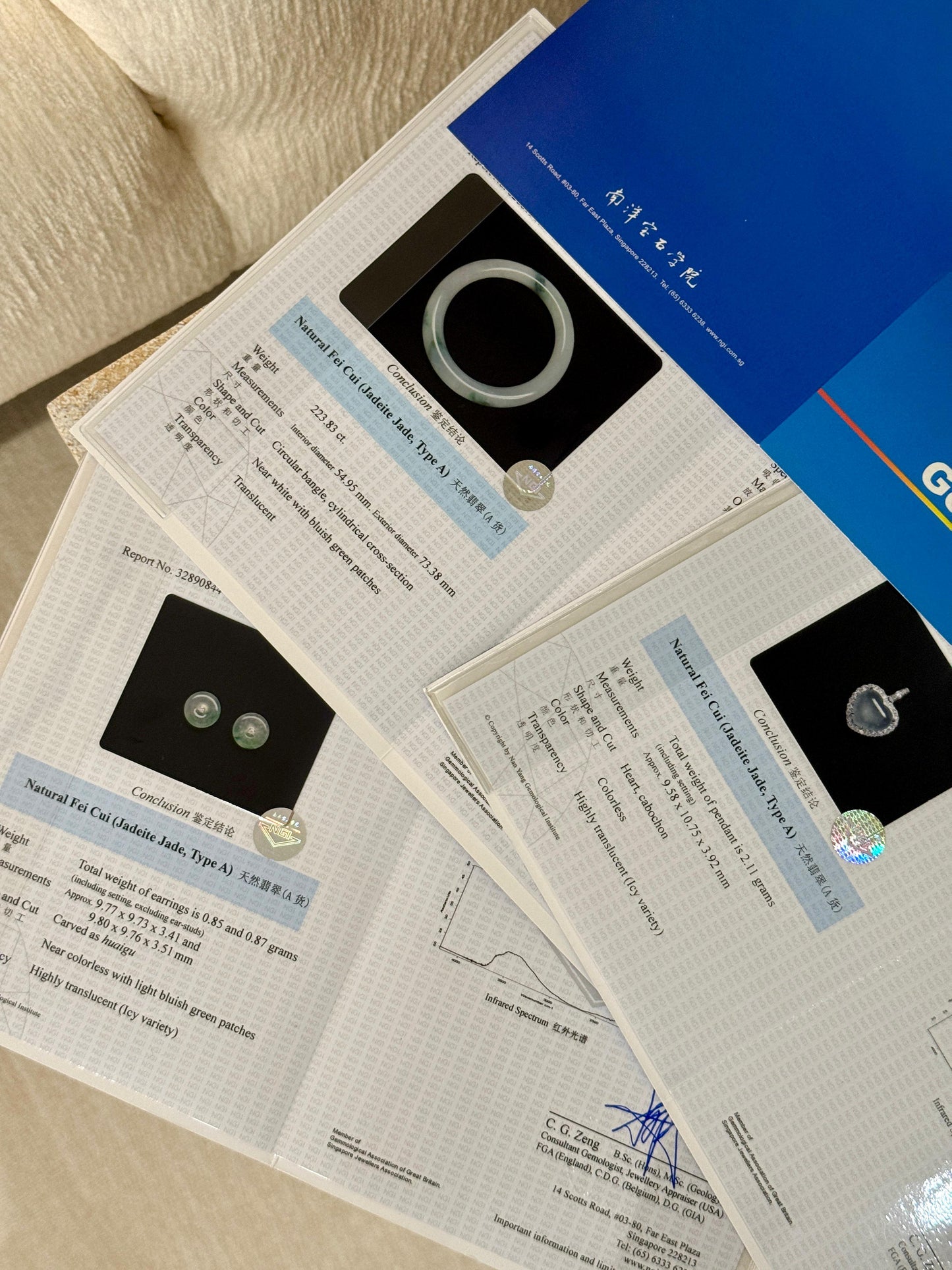 Add-on: NGI Report