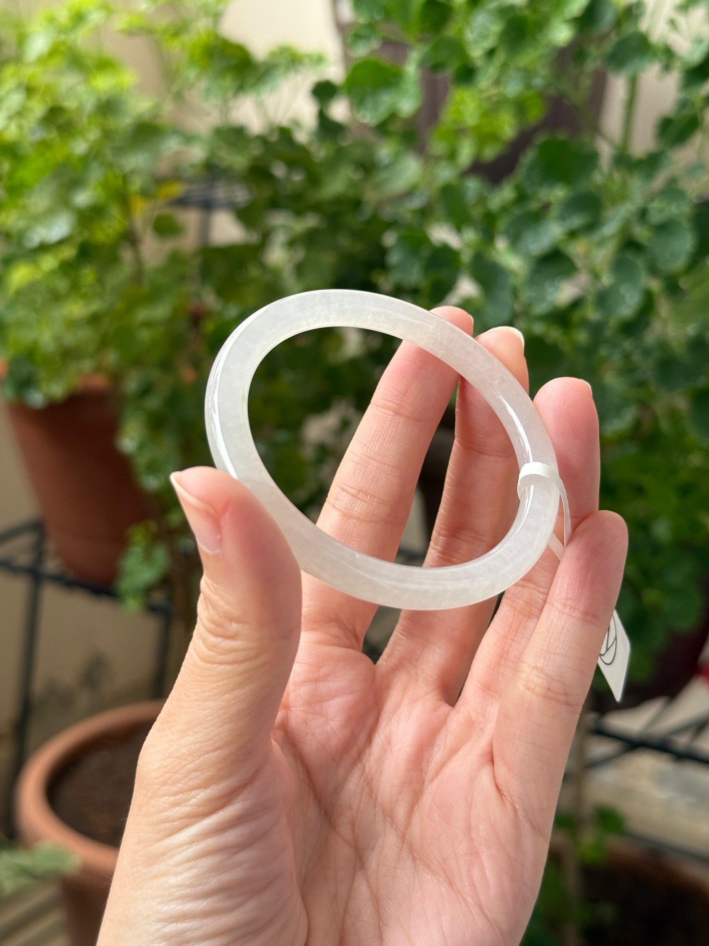 51.5mm Icy White (Slim)