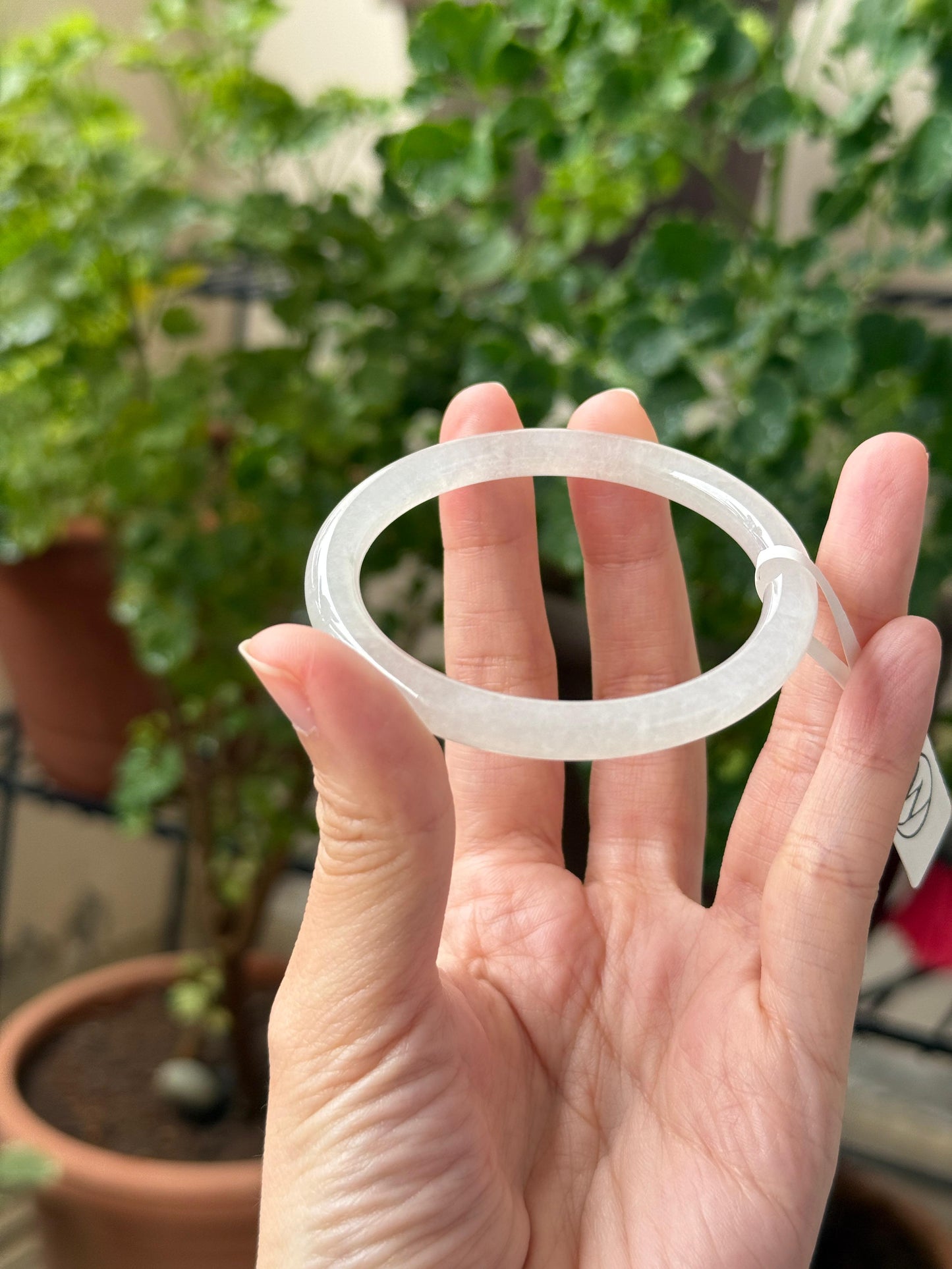 51.5mm Icy White (Slim)