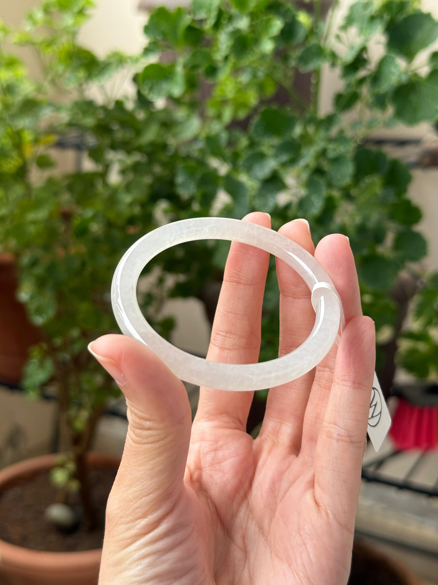 51.5mm Icy White (Slim)