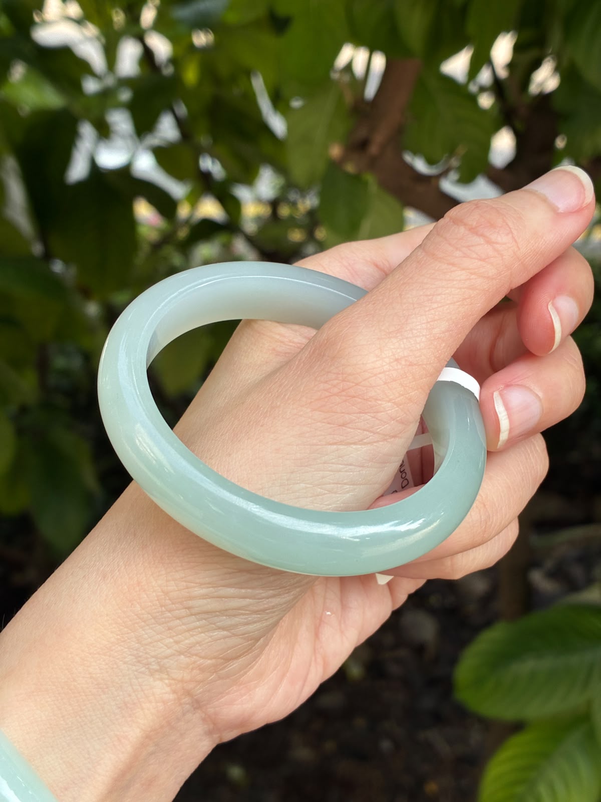 53.6mm Icy Poreless Bluish Green (Oval)