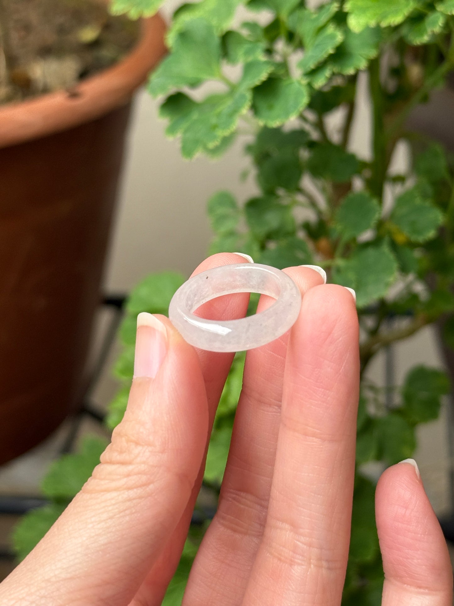 Icy White Jadeite Abacus Rings