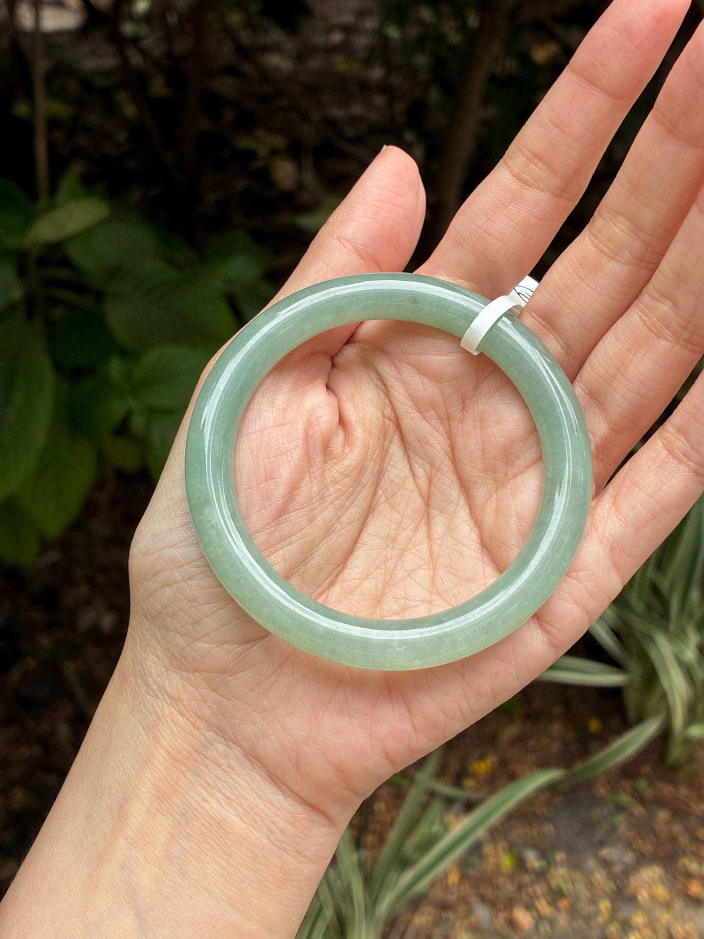 55.0mm Icy Vivid Deep Bluish Green
