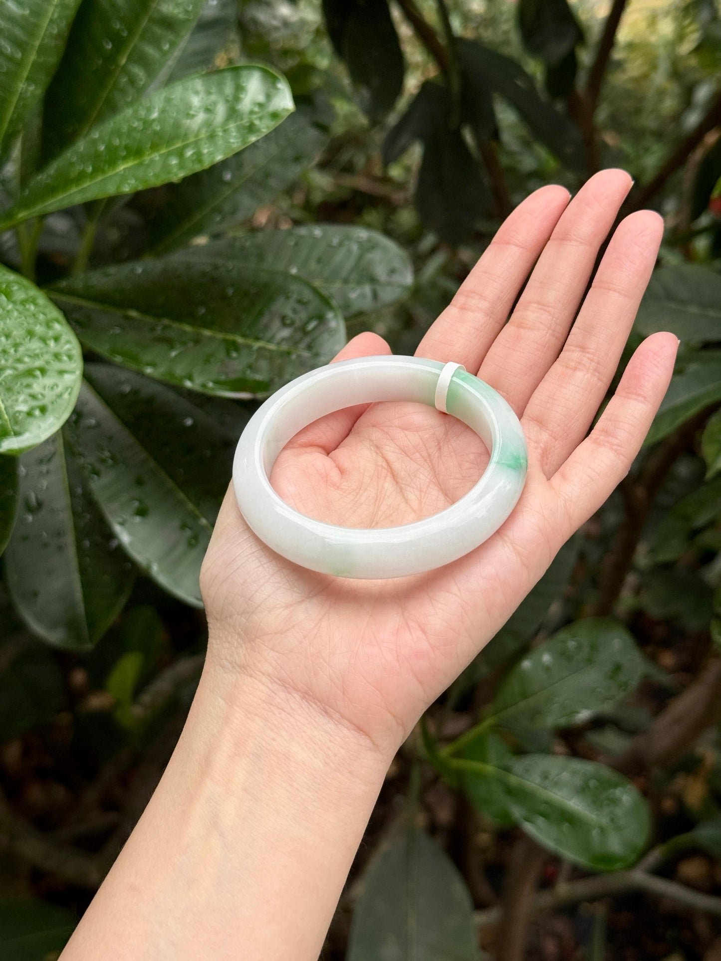 55.6mm Porcelain White with Green