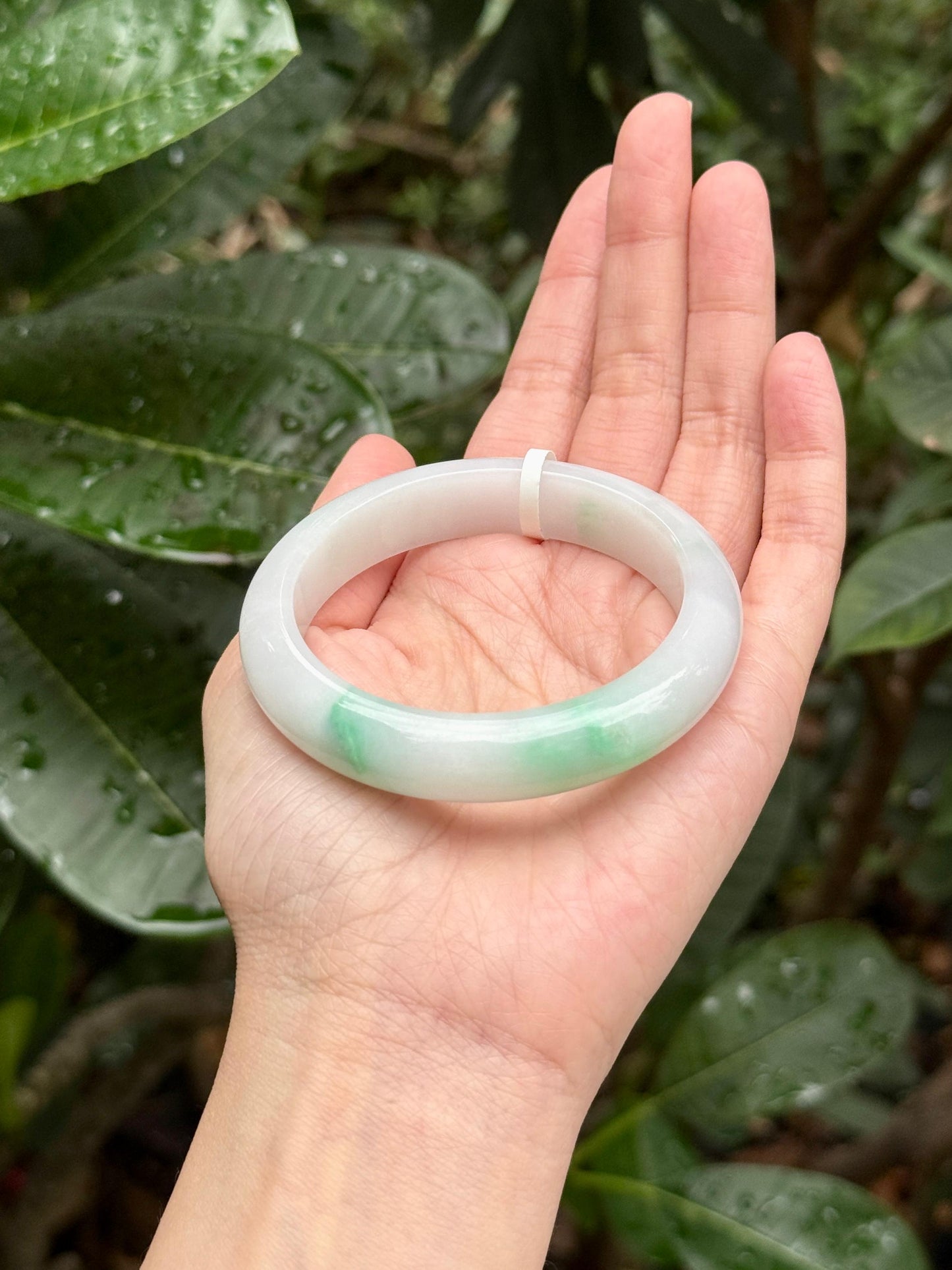 55.6mm Porcelain White with Green