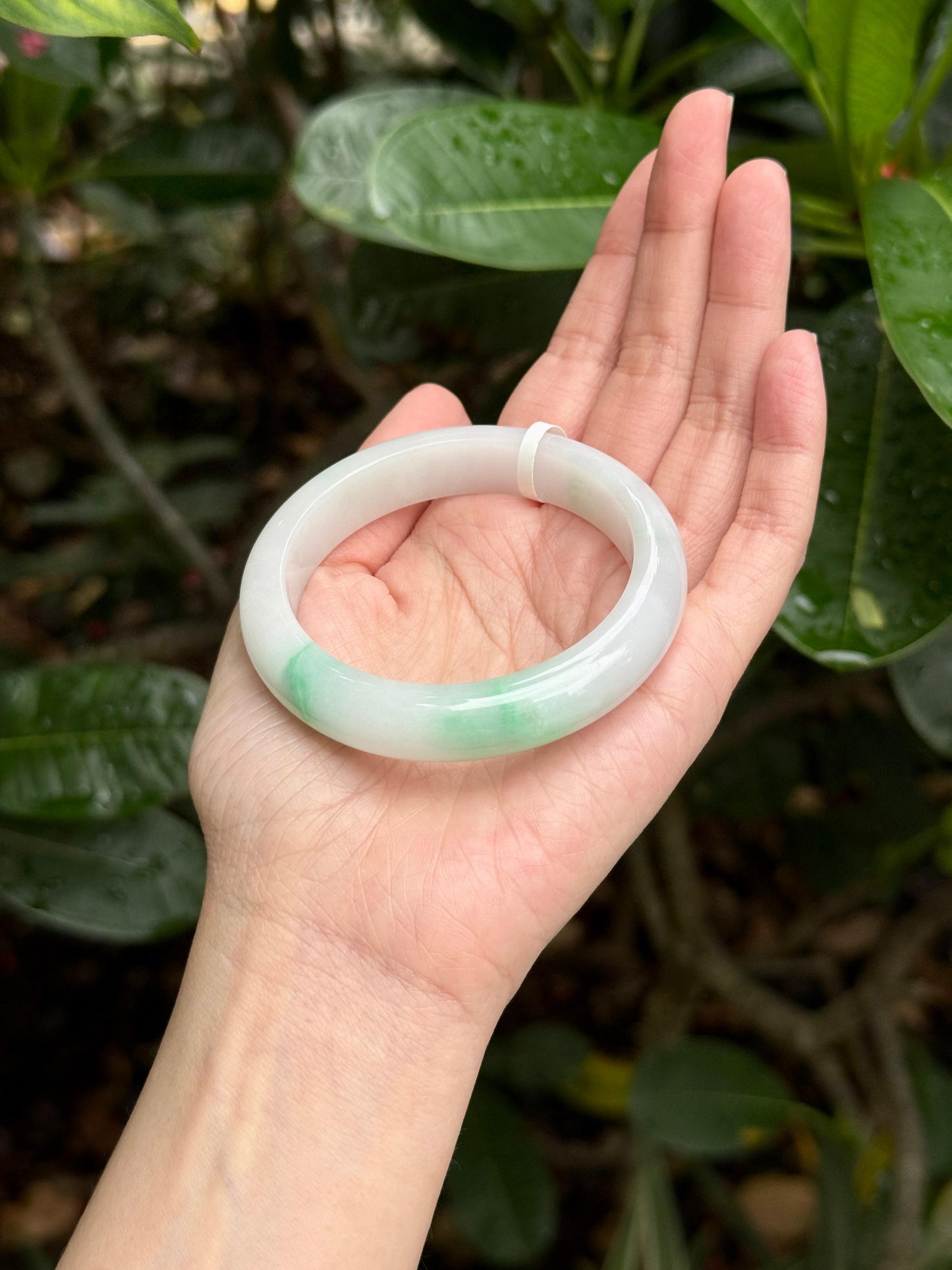 55.6mm Porcelain White with Green