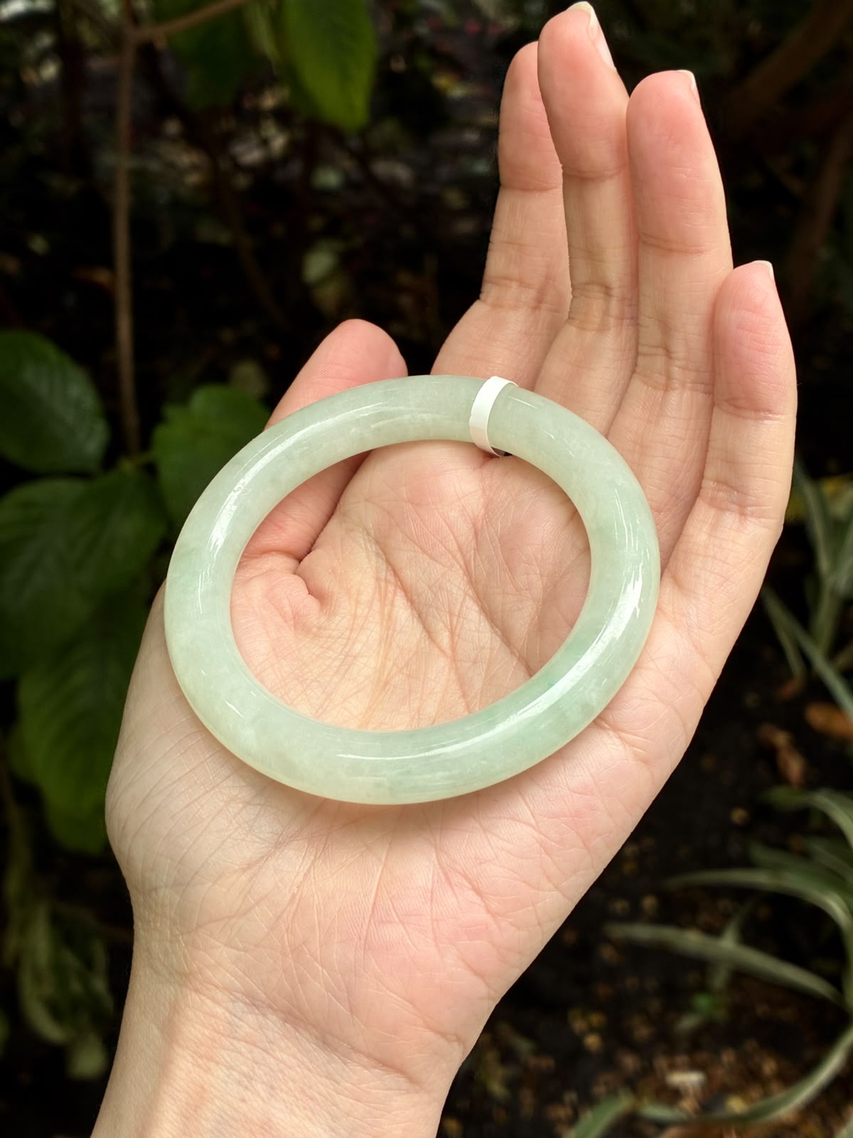 54.0mm Icy Faint Sweet Green