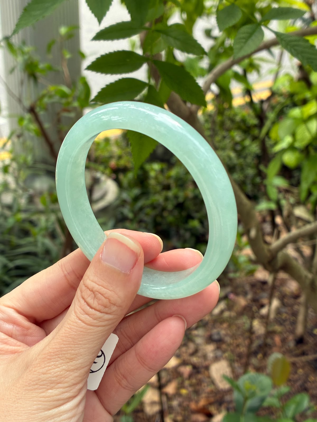 57.5mm Icy Vivid Maldives Turquoise Oval (Premium!)