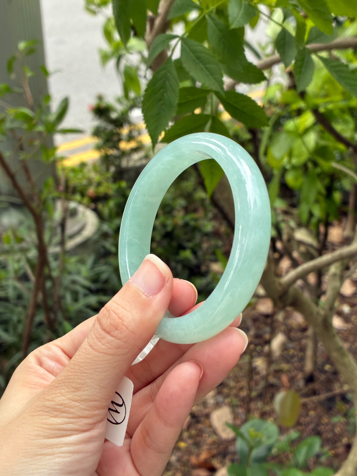 57.5mm Icy Vivid Maldives Turquoise Oval (Premium!)