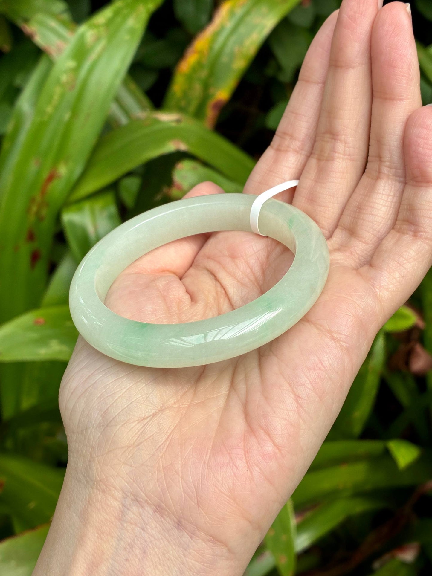 52.8mm Icy Light Sweet Green