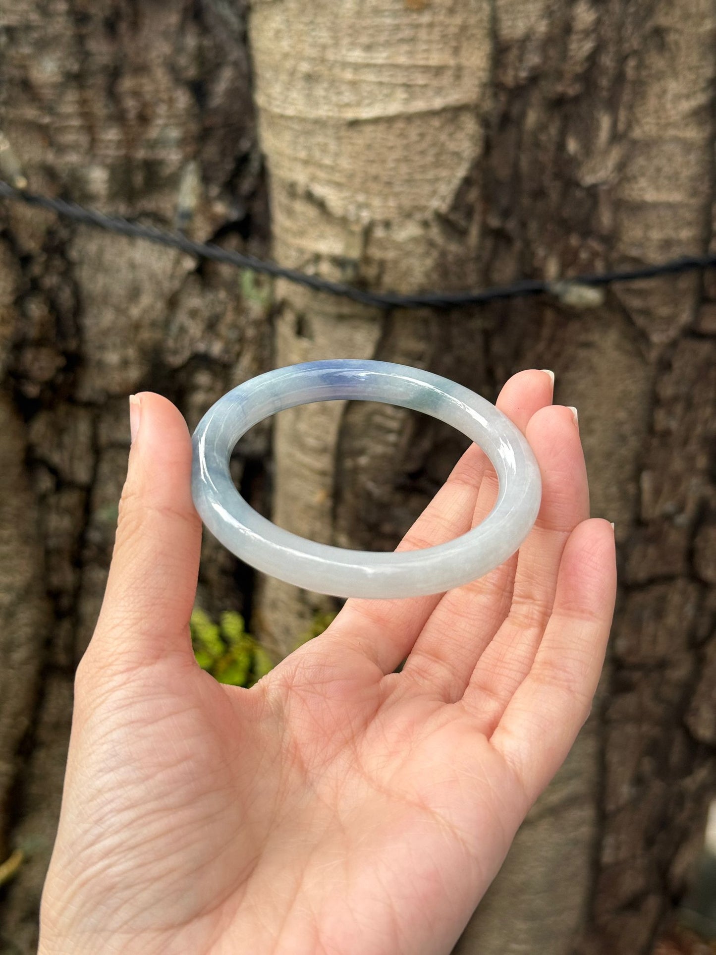 53.2mm Tricolor Lilac Lavender (Rare!)