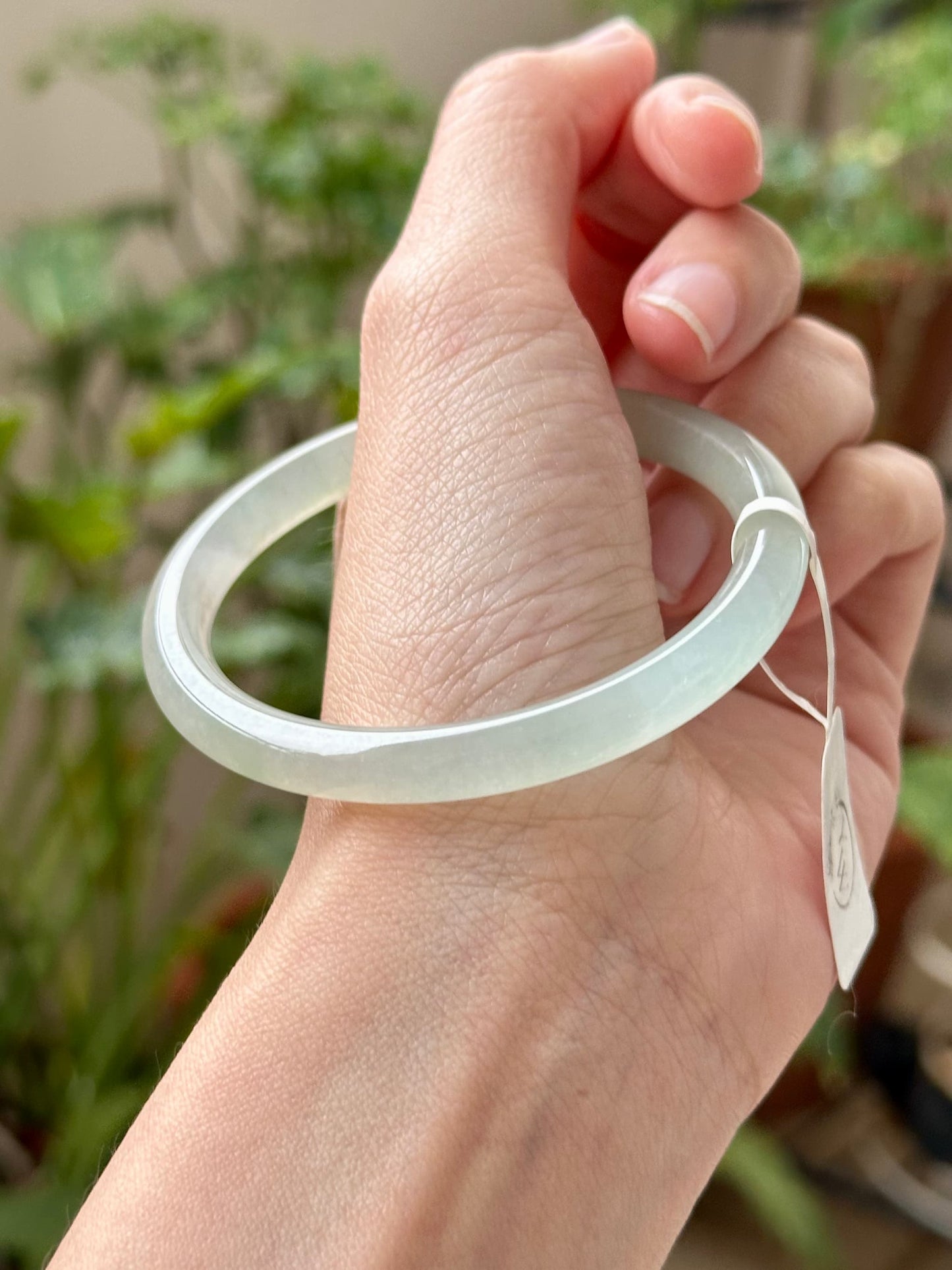 52.4mm Glowy Light Olive (Highly Translucent!)