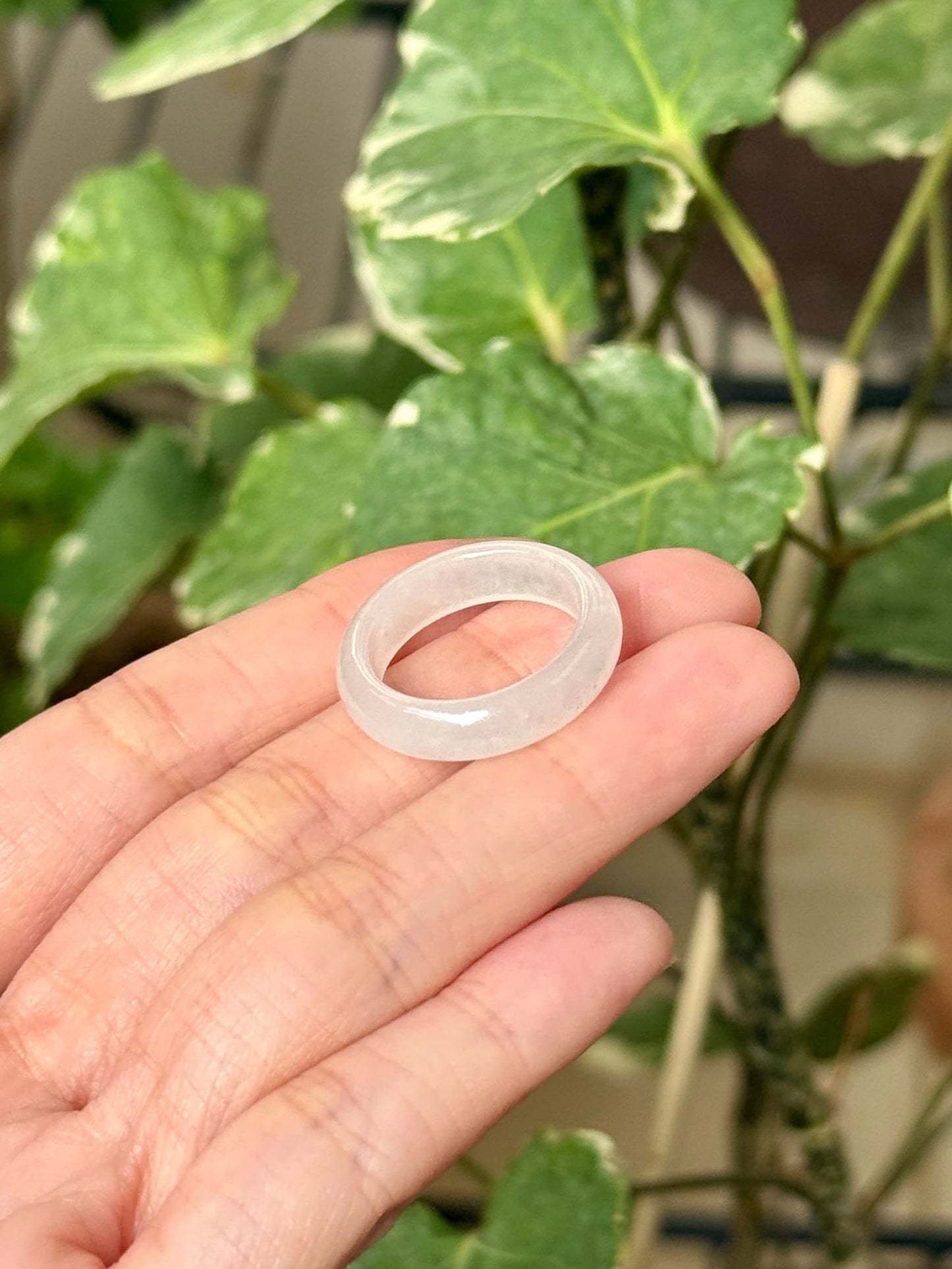Icy White Jadeite Ring Bands