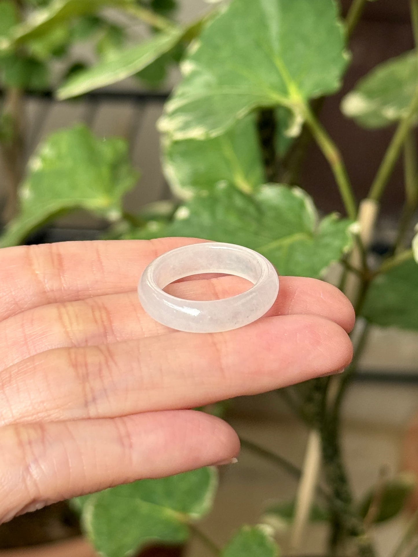 Icy White Jadeite Ring Bands