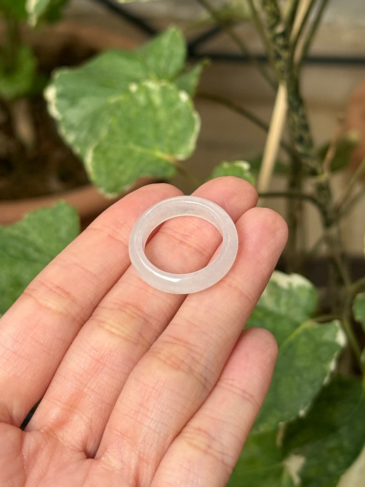 Icy White Jadeite Ring Bands